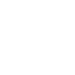 Roof damage icon